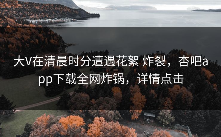 大V在清晨时分遭遇花絮 炸裂，杏吧app下载全网炸锅，详情点击