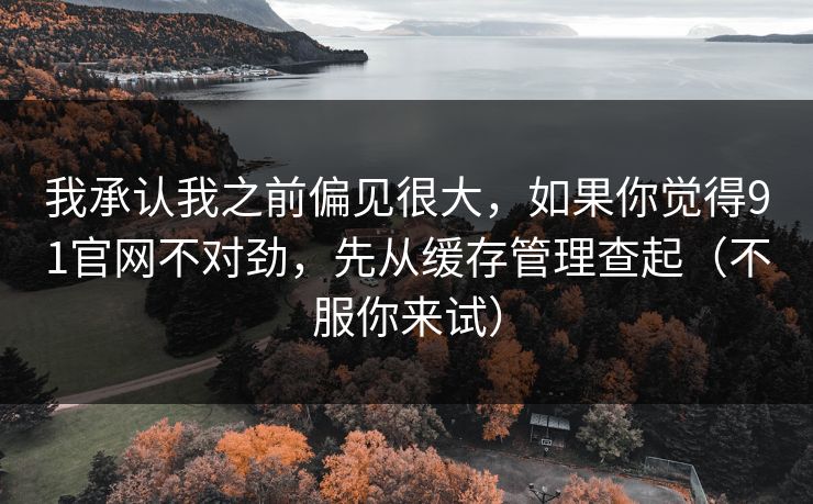 我承认我之前偏见很大，如果你觉得91官网不对劲，先从缓存管理查起（不服你来试）